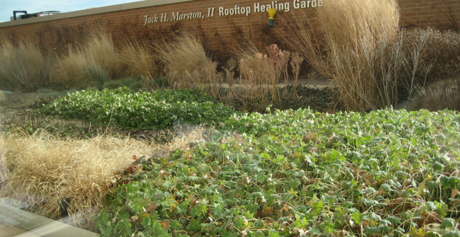 Jack H Marston II Healing Garden at Lutheran General